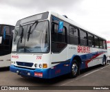 Brubuss Transportes 100 na cidade de Barueri, São Paulo, Brasil, por Breno Freitas. Número da foto: #13094638.