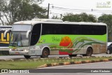 Transbrisul - Transportes Brisas do Sul 260 na cidade de Foz do Iguaçu, Paraná, Brasil, por Carlos Kircheim. Número da foto: #13093223.