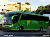 Pássaro Verde 18915 na cidade de Ponte Nova, Minas Gerais, Brasil, por Davi Neves. Número da foto: #13094877.