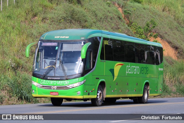 Pássaro Verde 15129 na cidade de Coimbra, Minas Gerais, Brasil, por Christian  Fortunato. Número da foto: #13122155.