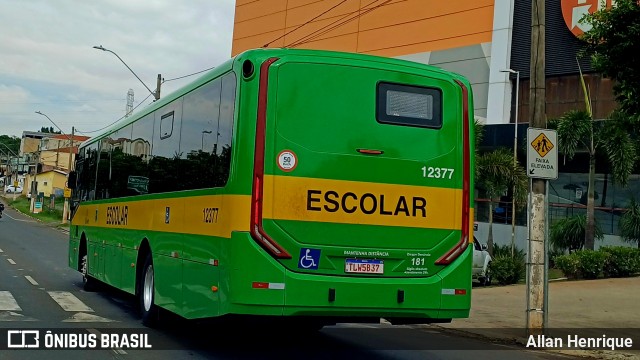 Transportes Capellini 12377 na cidade de Paulínia, São Paulo, Brasil, por Allan Henrique. Número da foto: #13121362.