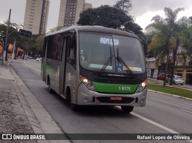 Transcooper > Norte Buss 1 6175 na cidade de São Paulo, São Paulo, Brasil, por Rafael Lopes de Oliveira. Número da foto: #13119706.