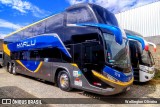 Marlu Turismo 1018 na cidade de Hortolândia, São Paulo, Brasil, por Wellington Oliveira. Número da foto: #13119479.