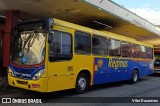 Auto Viação Reginas RJ 110.115 na cidade de Duque de Caxias, Rio de Janeiro, Brasil, por Vitor Dasneves. Número da foto: #13119557.