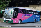Trans Brasil > TCB - Transporte Coletivo Brasil 210214 na cidade de Anápolis, Goiás, Brasil, por Weiller Alves. Número da foto: #13121435.
