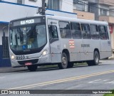 BluMob - Concessionária de Transporte Urbano de Blumenau 9503 na cidade de Blumenau, Santa Catarina, Brasil, por Iago Scheineider. Número da foto: #13119572.
