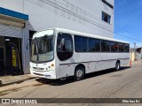 Ônibus Particulares 1898 na cidade de Itaberaí, Goiás, Brasil, por Elite bus Br. Número da foto: #13120121.