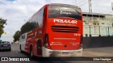 Primar Navegações e Turismo 1010 na cidade de Paulínia, São Paulo, Brasil, por Allan Henrique. Número da foto: #13121345.