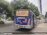 Transportes Capellini 19.096 na cidade de Campinas, São Paulo, Brasil, por Matheus Duarte Souza. Número da foto: #13119913.
