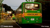 Transportes Capellini 32860 na cidade de Paulínia, São Paulo, Brasil, por Allan Henrique. Número da foto: #13121365.