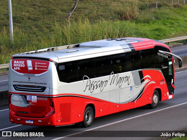 Empresa de Ônibus Pássaro Marron 5503 na cidade de Canas, São Paulo, Brasil, por João Felipe. Número da foto: #13124211.