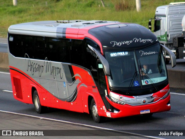 Empresa de Ônibus Pássaro Marron 5503 na cidade de Canas, São Paulo, Brasil, por João Felipe. Número da foto: #13124208.