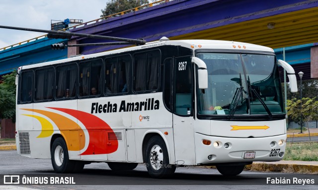 Flecha Amarilla 8267 na cidade de Morelia, Michoacán, México, por Fabián Reyes. Número da foto: #13124378.