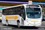 Flecha Amarilla 7159 na cidade de Morelia, Michoacán, México, por Fabián Reyes. Número da foto: #13124380.