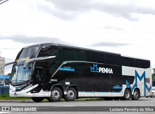 Empresa de Ônibus Nossa Senhora da Penha 65045 na cidade de São Paulo, São Paulo, Brasil, por Luciano Ferreira da Silva. Número da foto: #13127031.