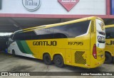 Empresa Gontijo de Transportes 19795 na cidade de São Sebastião da Bela Vista, Minas Gerais, Brasil, por Helder Fernandes da Silva. Número da foto: #13126003.