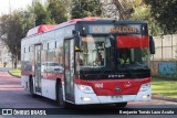 STP Santiago 117 na cidade de Maipú, Santiago, Metropolitana de Santiago, Chile, por Benjamín Tomás Lazo Acuña. Número da foto: #13127220.