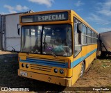 Circo Torricceli 7271 na cidade de Colombo, Paraná, Brasil, por Roger Coelho. Número da foto: #13127898.
