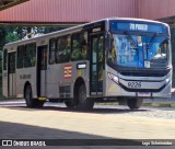 BluMob - Concessionária de Transporte Urbano de Blumenau 9226 na cidade de Blumenau, Santa Catarina, Brasil, por Iago Scheineider. Número da foto: #13125743.