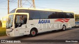 Águia 1649 na cidade de Alvorada, Rio Grande do Sul, Brasil, por Elizeu Oliveira. Número da foto: #13128077.