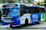 Transcel > CS Brasil 1097 na cidade de Mogi das Cruzes, São Paulo, Brasil, por Cauan Ferreira. Número da foto: #13127990.