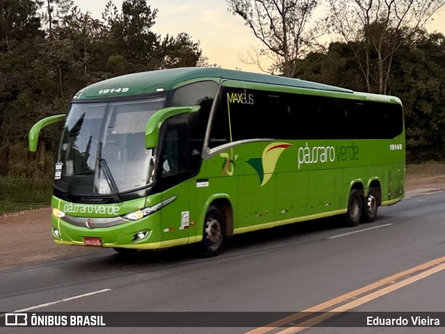 Pássaro Verde 19149 na cidade de Itabirito, Minas Gerais, Brasil, por Eduardo Vieira. Número da foto: #13130148.