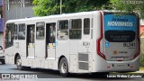 Transporte Coletivo Glória BL341 na cidade de Curitiba, Paraná, Brasil, por Lucas Weber Calizario. Número da foto: #13128550.