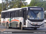 Viação Montes Brancos RJ 196.001 na cidade de Araruama, Rio de Janeiro, Brasil, por Gabriel Petersen Gomes. Número da foto: #13130183.