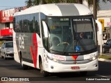 Viação Jóia > Expresso Jóia 42085 na cidade de Ponta Grossa, Paraná, Brasil, por Gabriel Guachineski. Número da foto: #13130328.