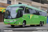 Pássaro Verde 19147 na cidade de Coimbra, Minas Gerais, Brasil, por Christian  Fortunato. Número da foto: #13128381.