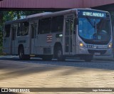 BluMob - Concessionária de Transporte Urbano de Blumenau 9195 na cidade de Blumenau, Santa Catarina, Brasil, por Iago Scheineider. Número da foto: #13128495.