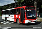 Nova Aliança  4 > Empresa de Transportes Novo Horizonte 4 4436 na cidade de São Paulo, São Paulo, Brasil, por Hipólito Rodrigues. Número da foto: #13128907.