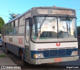 Transporte Rural 1430 na cidade de Severínia, São Paulo, Brasil, por Miguel Castro. Número da foto: #13130428.