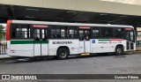 Borborema Imperial Transportes 733 na cidade de Recife, Pernambuco, Brasil, por Gustavo Ribeiro. Número da foto: #:id.