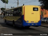 Trancid - Transporte Cidade de Divinópolis 263 na cidade de Divinópolis, Minas Gerais, Brasil, por Igor Policarpo. Número da foto: #13132748.