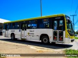 Viação Pioneira 229920 na cidade de Taguatinga, Distrito Federal, Brasil, por Daniel Chaves. Número da foto: #13130897.