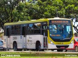Viação Pioneira 228826 na cidade de Taguatinga, Distrito Federal, Brasil, por Daniel Chaves. Número da foto: #13130898.