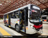Transwolff Transportes e Turismo 7 8171 na cidade de São Paulo, São Paulo, Brasil, por Valnei Conceição. Número da foto: #13133015.