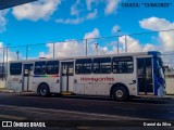 Consórcio Navegantes - 02 > Viação São Jorge > Transurb Transporte Urbano 02065 na cidade de João Pessoa, Paraíba, Brasil, por Daniel da Silva. Número da foto: #13131052.