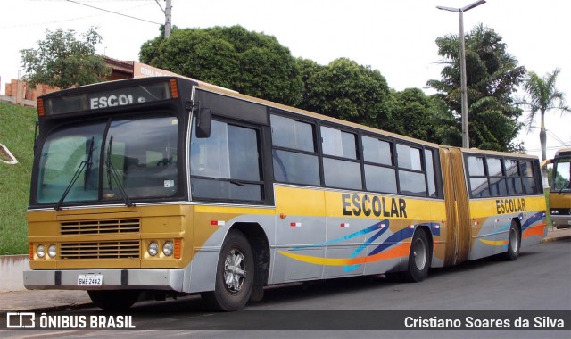 Prefeitura Municipal de Duartina 2442 na cidade de Duartina, São Paulo, Brasil, por Cristiano Soares da Silva. Número da foto: #13135445.