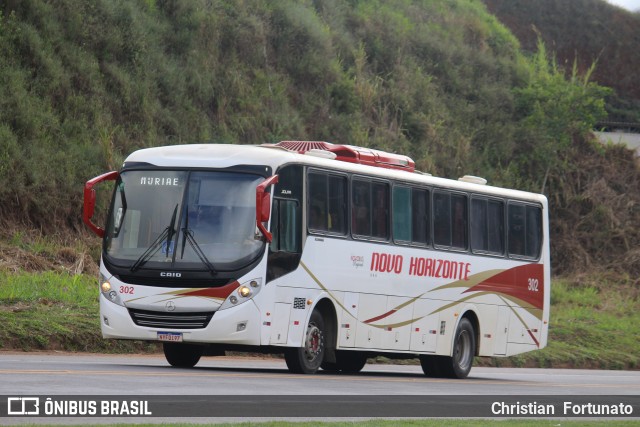 Viação Novo Horizonte 302 na cidade de Muriaé, Minas Gerais, Brasil, por Christian  Fortunato. Número da foto: #13133127.