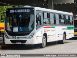 Borborema Imperial Transportes 382 na cidade de Recife, Pernambuco, Brasil, por Wendel Miguel /MIGUELPHOTOBUS. Número da foto: #13135538.