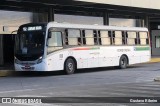Borborema Imperial Transportes 713 na cidade de Recife, Pernambuco, Brasil, por Gustavo Ribeiro. Número da foto: #:id.