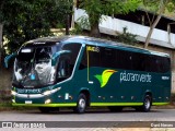 Pássaro Verde 18914 na cidade de Ponte Nova, Minas Gerais, Brasil, por Davi Neves. Número da foto: #13135063.