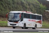 Viação Novo Horizonte 302 na cidade de Muriaé, Minas Gerais, Brasil, por Christian  Fortunato. Número da foto: #13133127.