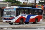 Empresa de Transporte 1º de Mayo S.R.L. - Línea 133 418 na cidade de Asunción, Paraguai, por Carlos Kircheim. Número da foto: #13135281.