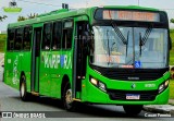 Dinatur Traslados e Turismo M19010 na cidade de Mairiporã, São Paulo, Brasil, por Cauan Ferreira. Número da foto: #13134159.