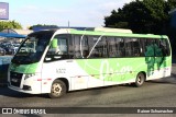 Turismo e Fretamento Orion Transportes 4302 na cidade de São Paulo, São Paulo, Brasil, por Rainer Schumacher. Número da foto: #13133665.