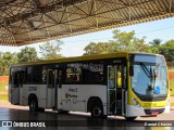 Viação Pioneira 227641 na cidade de Brasília, Distrito Federal, Brasil, por Daniel Chaves. Número da foto: #13133933.