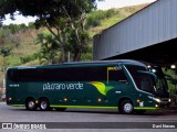 Pássaro Verde 11104 na cidade de Ponte Nova, Minas Gerais, Brasil, por Davi Neves. Número da foto: #13135069.